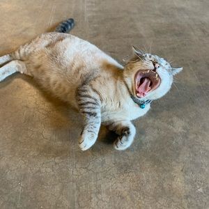 Meet your Posher, Colby